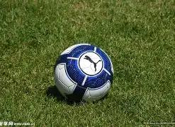 夏季赛启动,日期揭晓,乐玩体育官网,lewan乐玩体育,乐玩体育在线,乐玩体育官网,乐玩体育平台入口