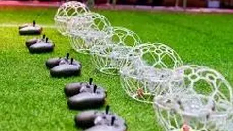 “Donk线下赛首秀冠军梦碎”