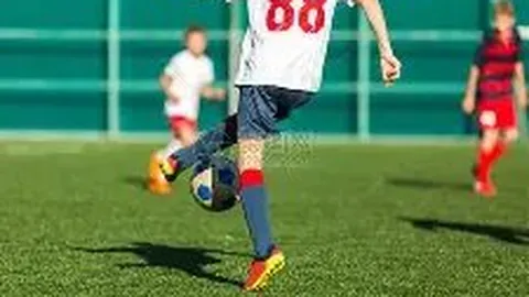 乐玩体育官网 产品 134117 9zn