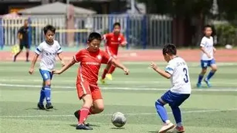 乐玩体育官网 资讯 142925 y1j